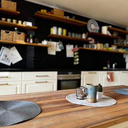 Knk Vibrant Central Spacious Hideaway Daire Hradec Králové Dış mekan fotoğraf